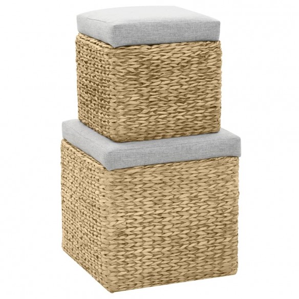 Repose-pied 2 pcs Jacinthe d'eau Gris Repose-pied 2 pcs Jacinthe d'eau Gris