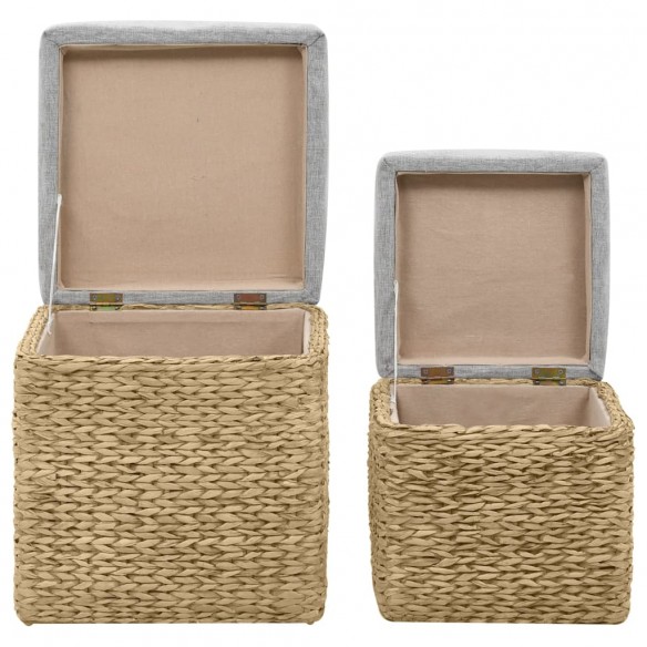 Repose-pied 2 pcs Jacinthe d'eau Gris Repose-pied 2 pcs Jacinthe d'eau Gris