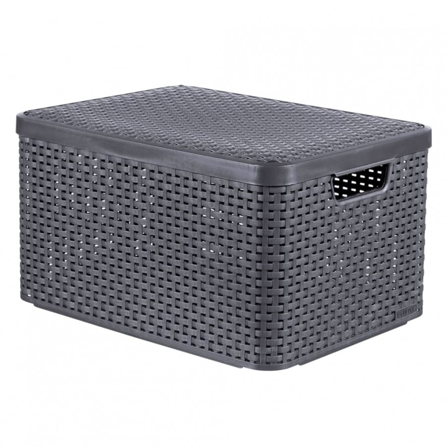 Curver Boîte de rangement avec couvercle Style L 30 L Argent métallisé