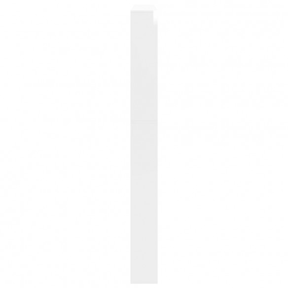Armoire chaussures miroir 5niveaux blanc brillant 63x17x169,5cm