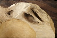 Accueil| La force du design, la douceur du foyer.