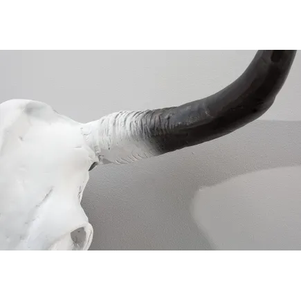 Accueil| La force du design, la douceur du foyer. 2